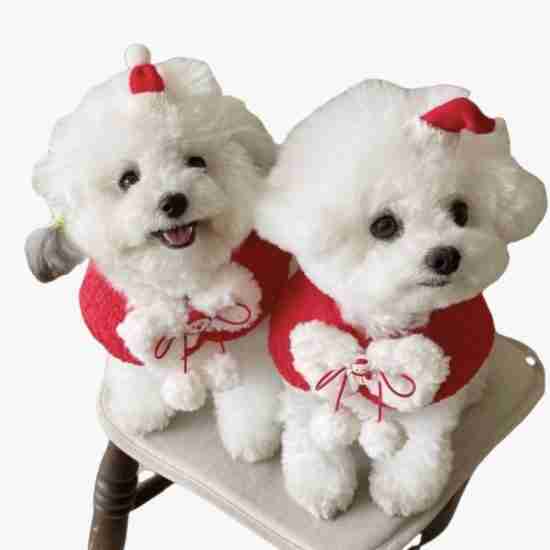 Festive Pet Bandana (Christmas Bow Tie)