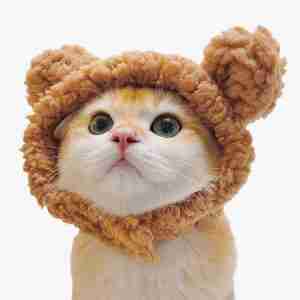 Cute Costume Hat for Pets