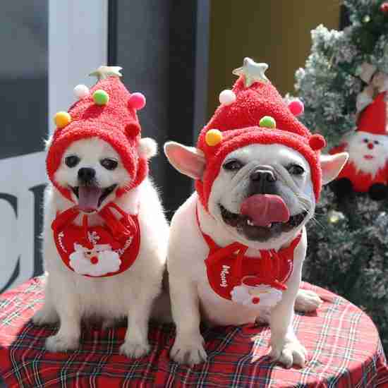 Christmas Hat & Bib Set for Pets - 相册3