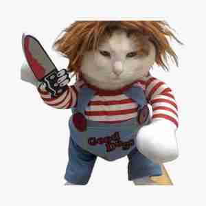 Costume Outfit for Small & Medium Pets