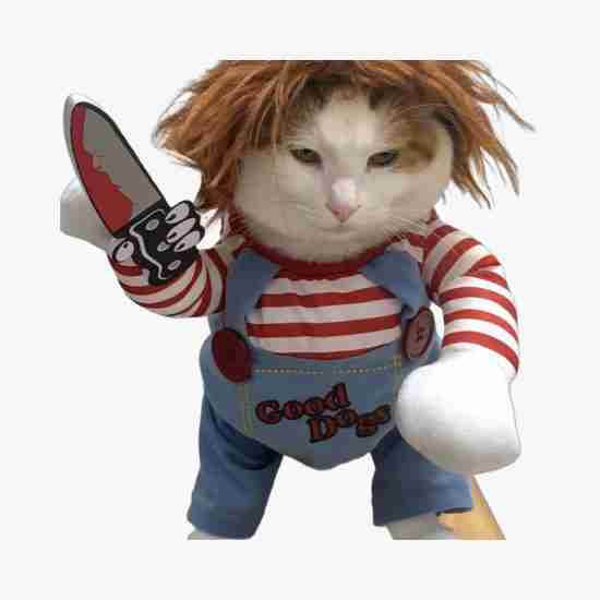 Costume Outfit for Small & Medium Pets