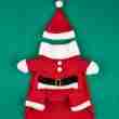 Christmas Santa Outfit for Dogs and Cats - 相册1