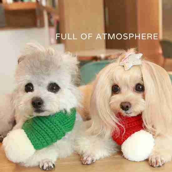 Christmas Handmade Knitted Collar & Scarf - 相册1 Christmas Handmade Knitted Collar & Scarf - 相册1