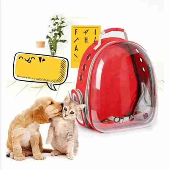 Transparent Semi-Capsule Pet Carrier - 相册3