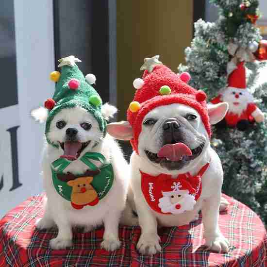 Christmas Hat & Bib Set for Pets - 相册2