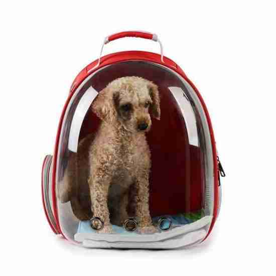 Transparent Semi-Capsule Pet Carrier - 相册4