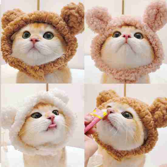 Cute Costume Hat for Pets - 相册1