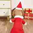 Christmas Santa Outfit for Dogs and Cats - 相册4