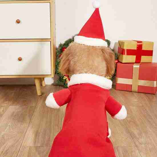 Christmas Santa Outfit for Dogs and Cats - 相册4