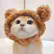 Cute Costume Hat for Pets - 相册4