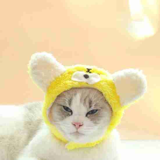 Tiger Costume Hat for Pets - 相册3