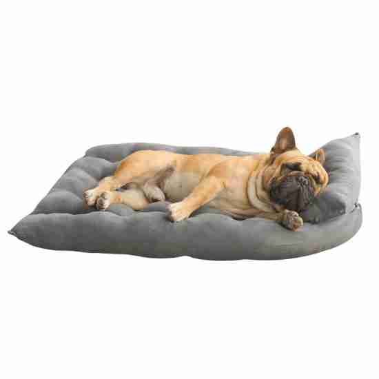 Yantai Factory Pet Bed Foldable - For French Bulldog/Corgi - 相册1