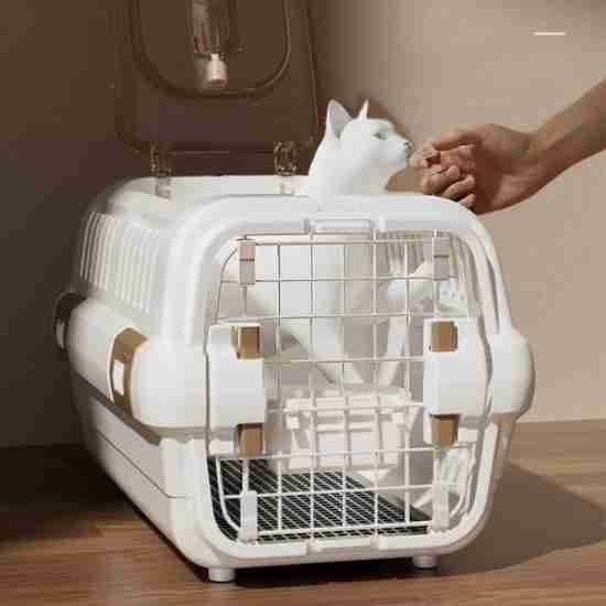 Large Pet Transport Crate (Airline-Approved, Removable Top, Car Carrier) - 相册1