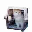 Portable Airline-Approved Pet Crate (Wholesale, S/M/L) - 相册2