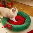 Semi-Closed Christmas Pet Nest - Warm Dog/Cat Bed Wholesale - 相册3