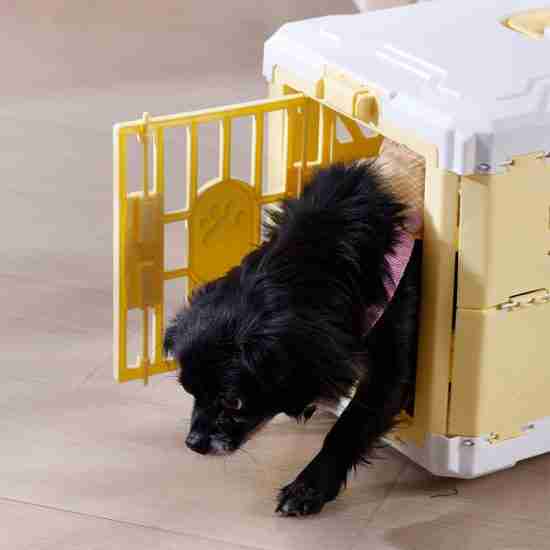 Large Foldable Pet Carrier (Airline-Approved, Collapsible, Car Transport) - 相册2 Large Foldable Pet Carrier (Airline-Approved, Collapsible, Car Transport) - 相册2