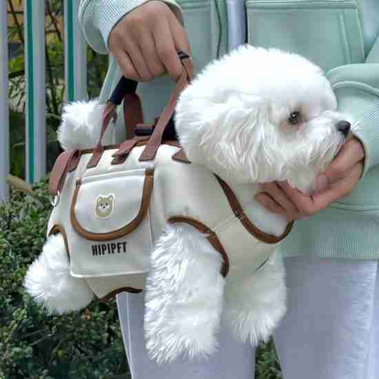 Pet Traction Backpack (Crossbody, Breathable) - 相册2