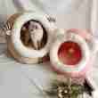 New Hot 4-Season Pet Bed - Washable Cat/Dog Nest - 相册3