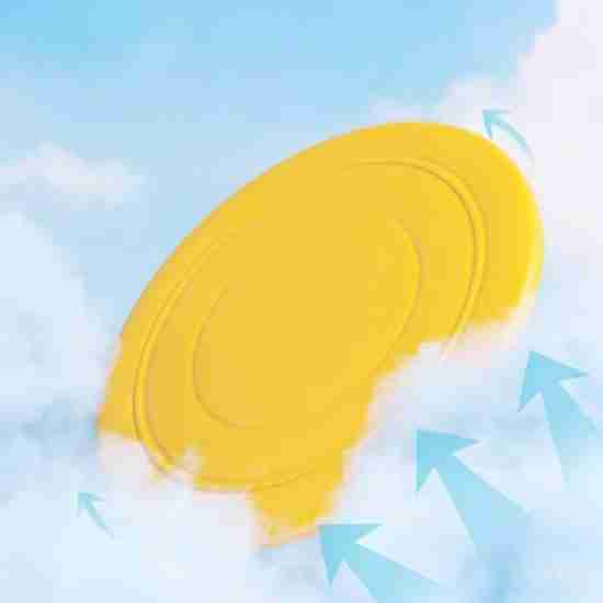 Wholesale Outdoor Dog Frisbee (TPR Floating Bite-Resistant Toy for Medium/Large Breeds) Colors are randomly distributed. - 相册4