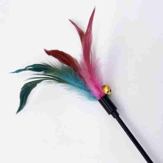 65cm/50cm Cat Teaser Toy (Feather Bell, Manufacturer Wholesale) - 相册4 65cm/50cm Cat Teaser Toy (Feather Bell, Manufacturer Wholesale) - 相册4