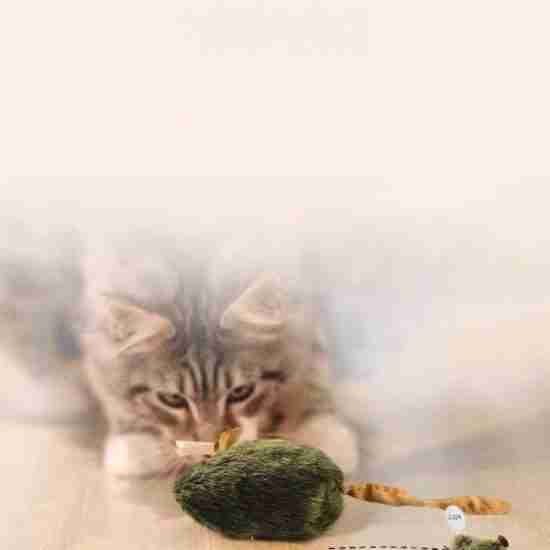 Realistic Smart Sound Mouse Cat Toy (Wholesale Self-Entertainment Teaser Wand) - 相册4 Realistic Smart Sound Mouse Cat Toy (Wholesale Self-Entertainment Teaser Wand) - 相册4